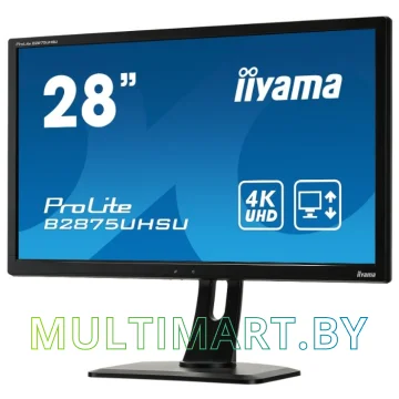 Монитор Iiyama ProLite B2875UHSU-B1 картинка 2